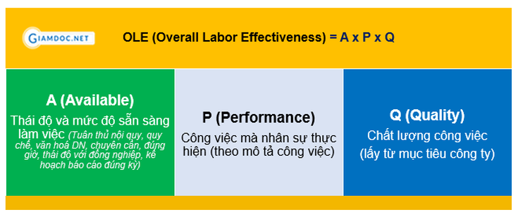 OLE (Overall Labor Effectiveness)